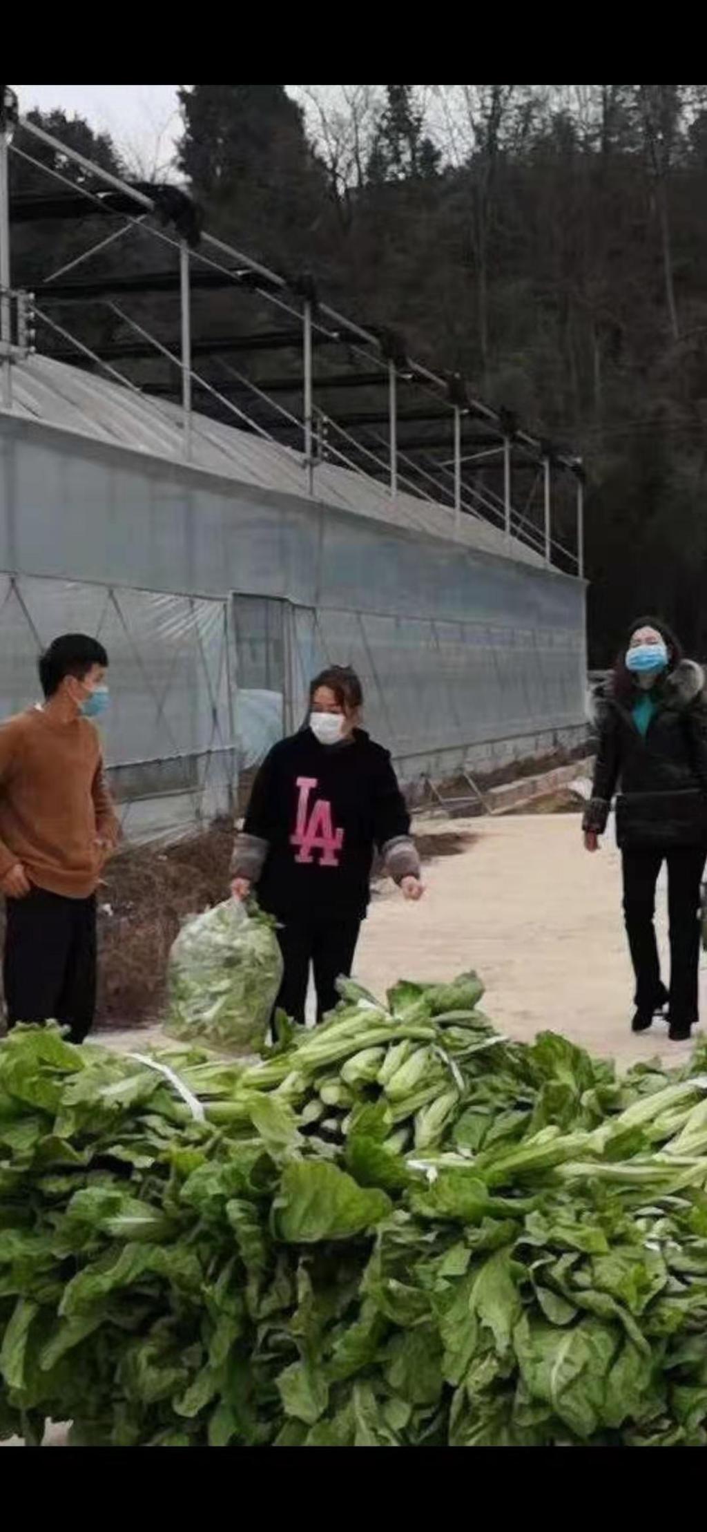 少妇被又大又粗又爽久久