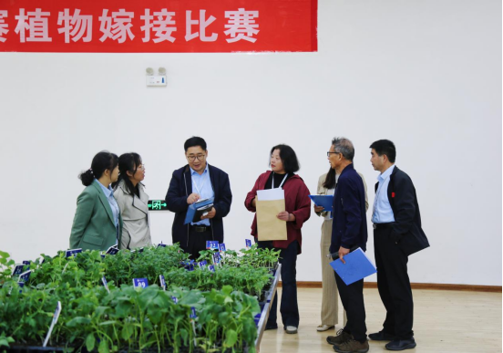 少妇被又大又粗又爽久久