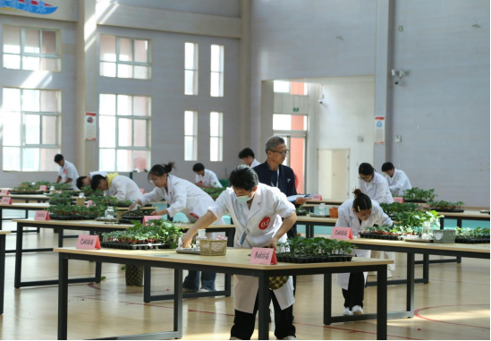 少妇被又大又粗又爽久久