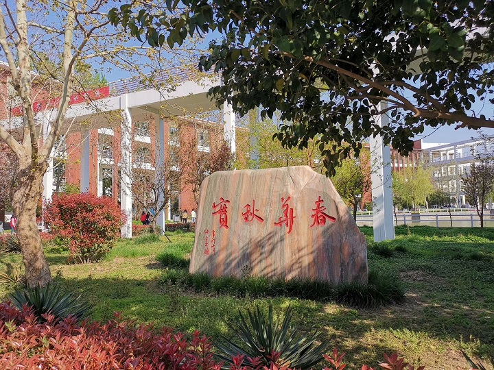 少妇被又大又粗又爽久久