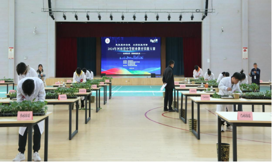 少妇被又大又粗又爽久久